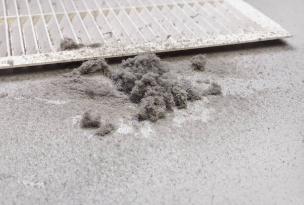 Best Dryer Vent Cleaning Services  in Theodore, AL