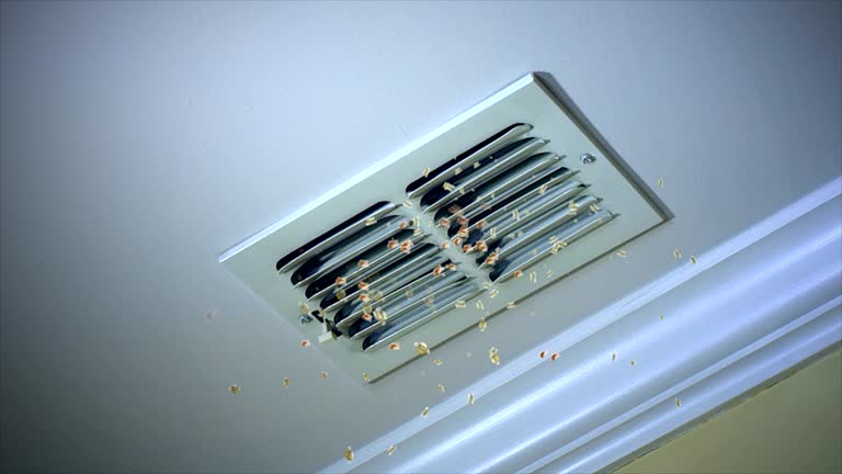 Best Duct Cleaning for Homes  in Theodore, AL