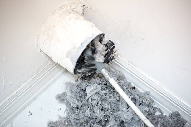 Best Air Duct Cleaning Near Me  in Theodore, AL