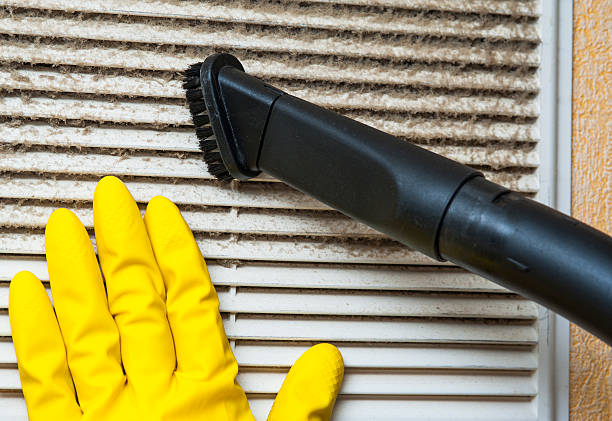 Best Ventilation Cleaning Services  in Theodore, AL